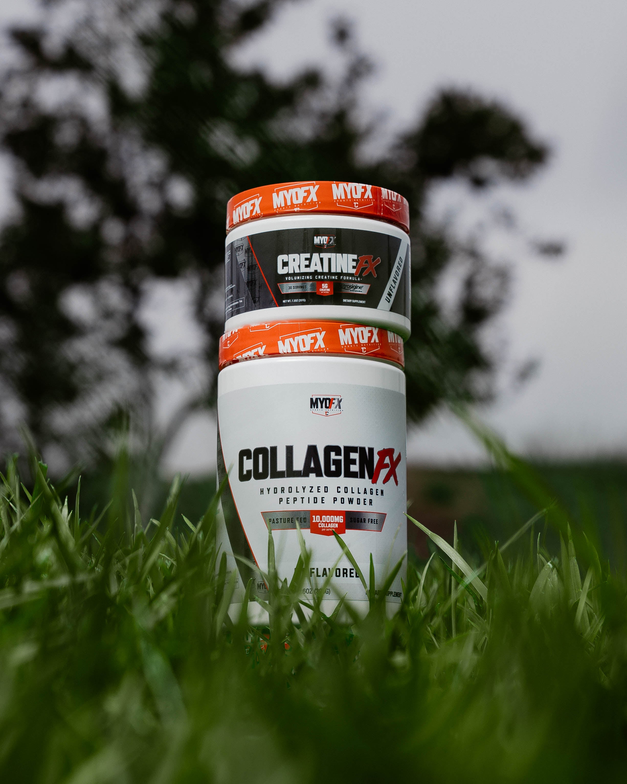 Creatine FX